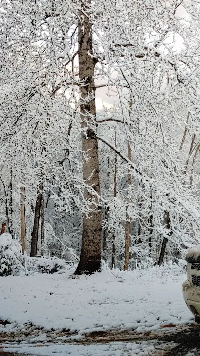 Leesville Lake Campground, LLC Picture 2