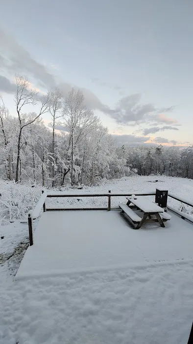 Leesville Lake Campground, LLC Picture 1