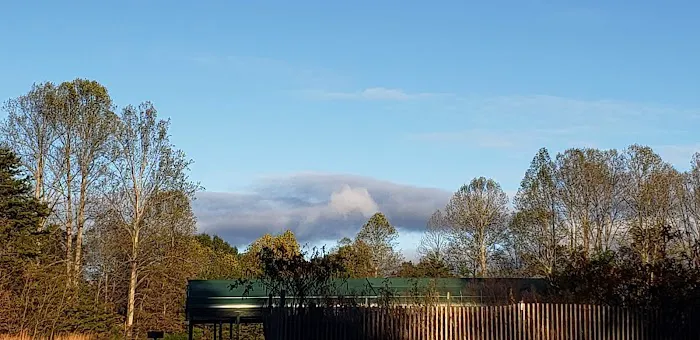 Camp Karma Picture 2