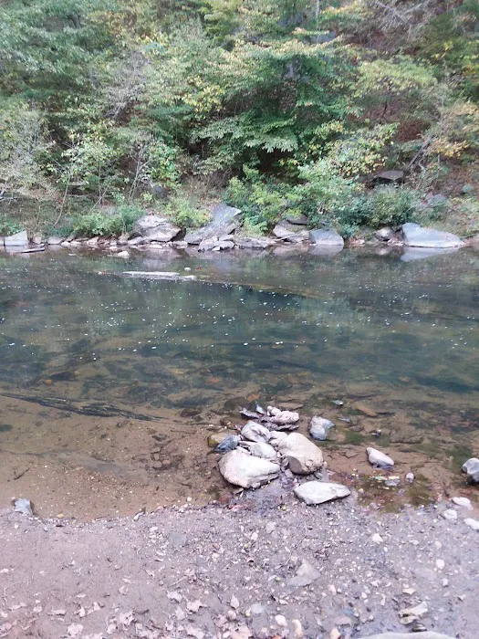 Camp Karma Picture 8