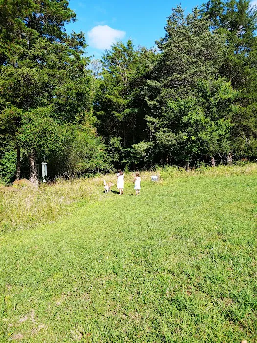 Camp Karma Picture 10