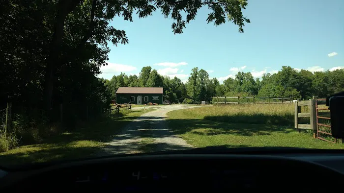 Camp Karma Picture 5