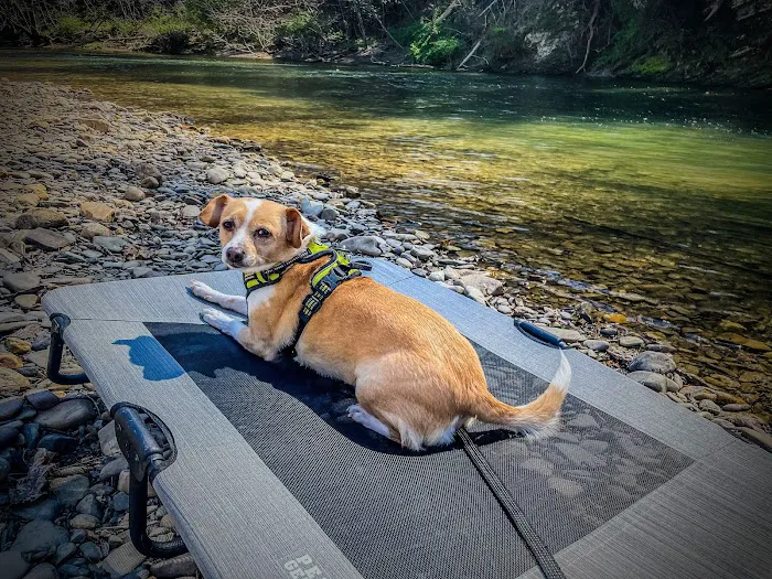 Peaceful River Campground Picture 6