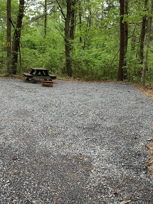 Waltons Campground LLC Picture 10