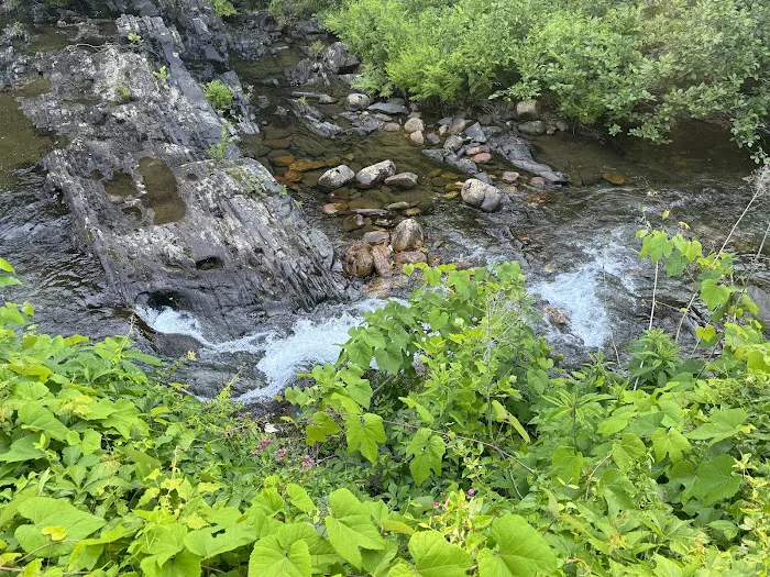 Buckhorne Country Store and Campground Picture 10