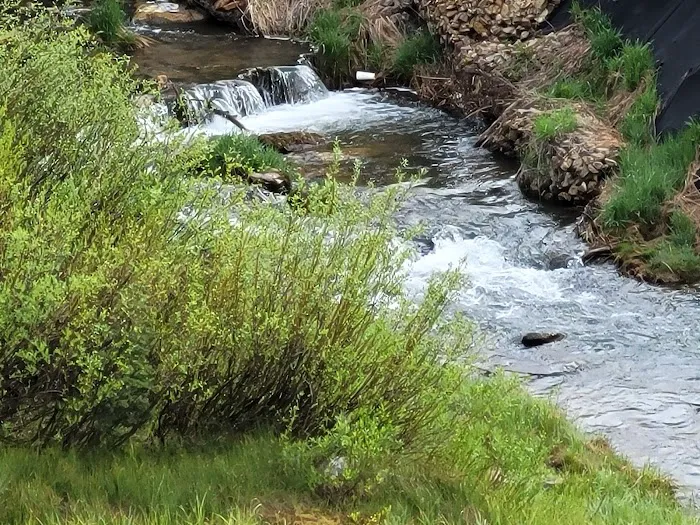 Buckhorne Country Store and Campground Picture 8