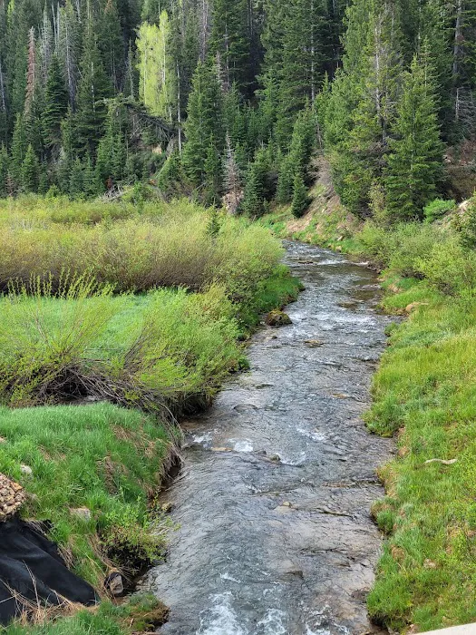 Buckhorne Country Store and Campground Picture 4
