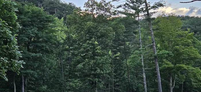 Whispering Pines Campground Picture 1