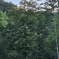 Whispering Pines Campground ico