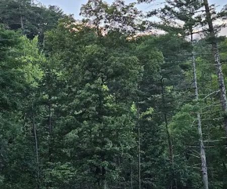 Whispering Pines Campground