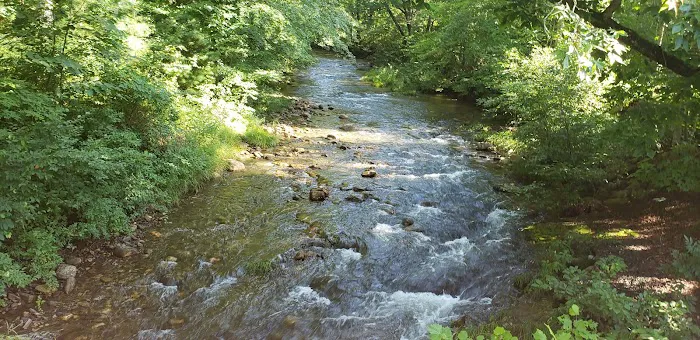 Whispering Pines Campground Picture 6