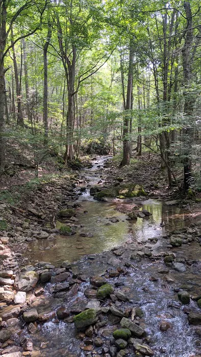 Hidden Valley Campground Picture 5