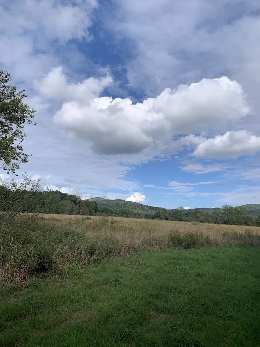 Hidden Valley Campground Picture 6