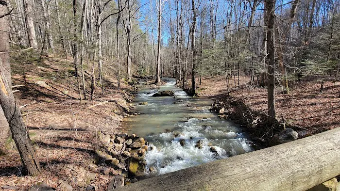 Hidden Valley Campground Picture 8