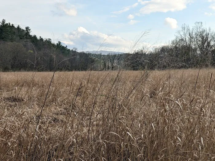 Hidden Valley Campground Picture 9