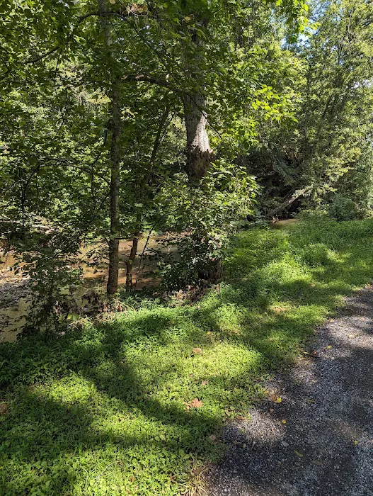 Gala River Front Campground Picture 6