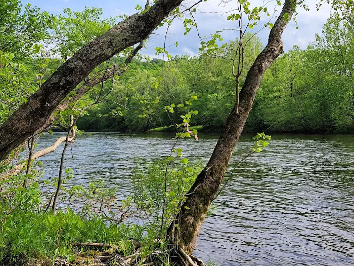 Gala River Front Campground Picture 7
