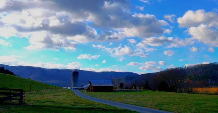 Gala River Front Campground Picture 1