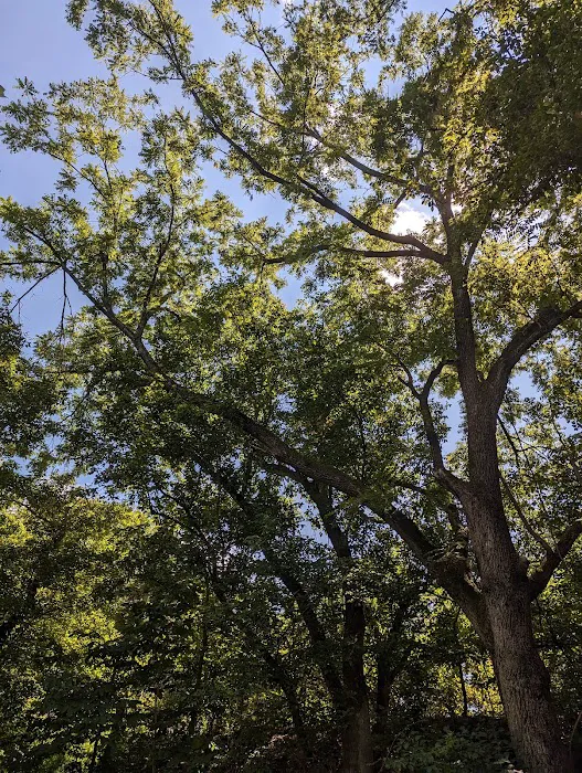 Gala River Front Campground Picture 5