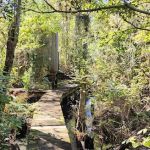 Johnu2019s Island Central