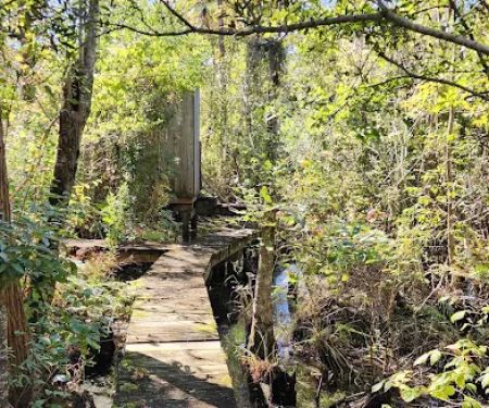 John’s Island Central