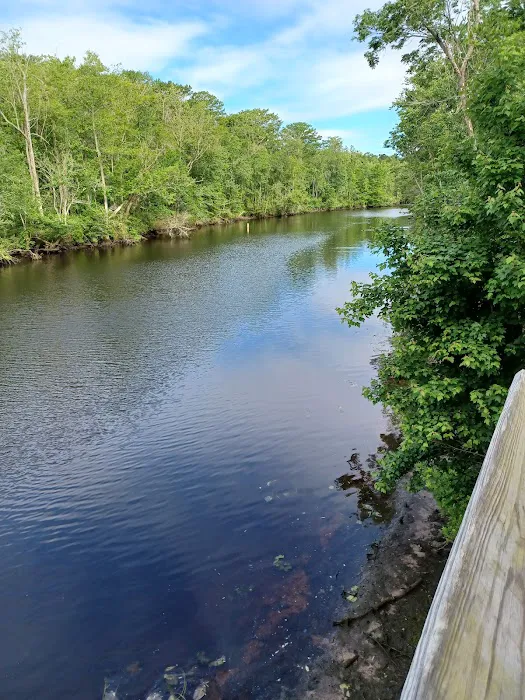 Cashie River Campground & RV Park Picture 9