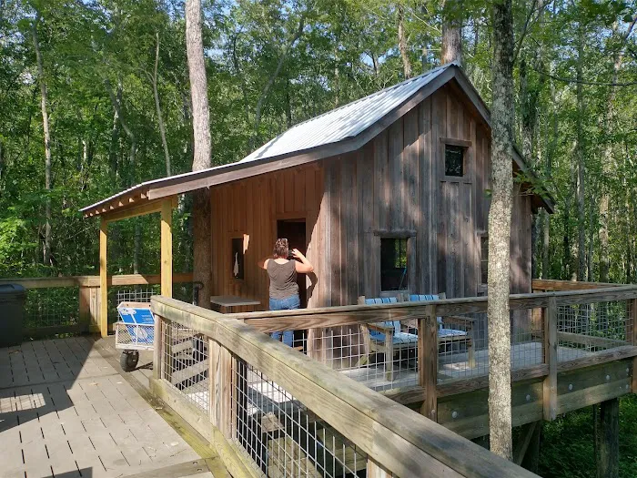 Cashie River Treehouse Village Picture 8