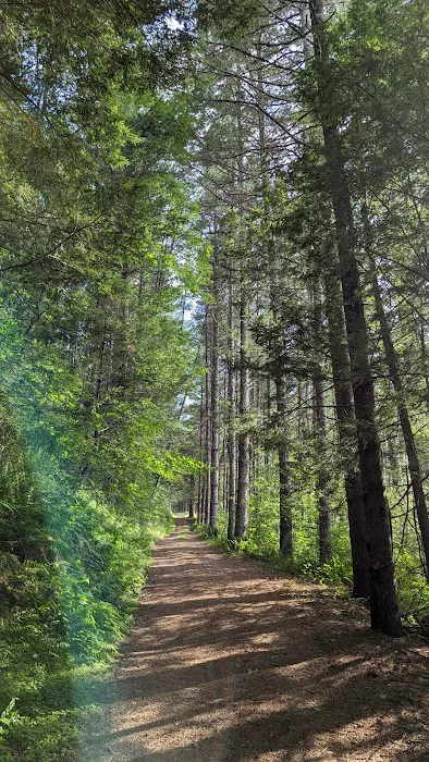 Boyer Station Campground Picture 5