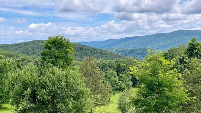 The Trails at Files Creek Picture 10