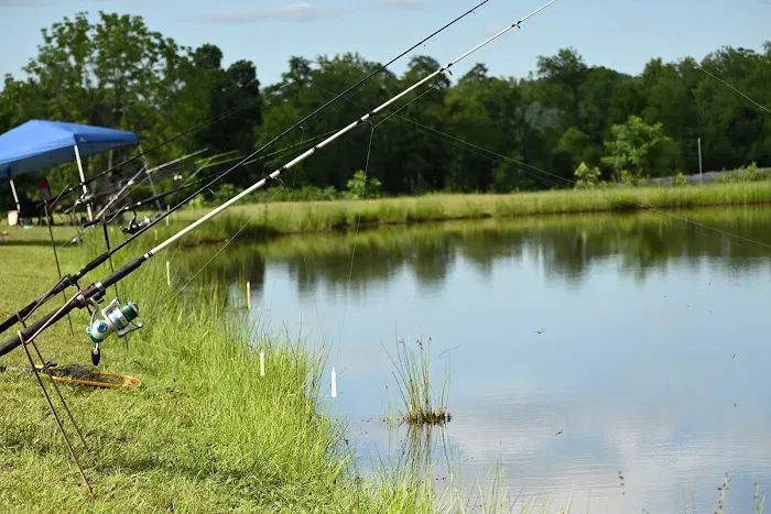 Johnny B's Campground Picture 1