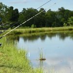 Johnny B's Campground