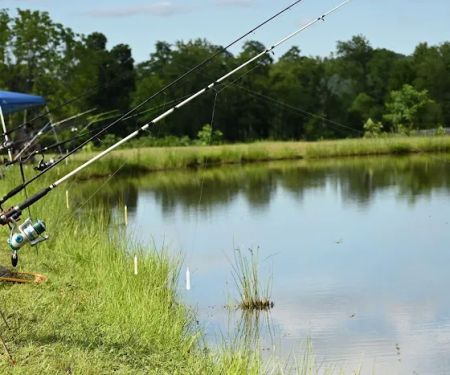 Johnny B's Campground