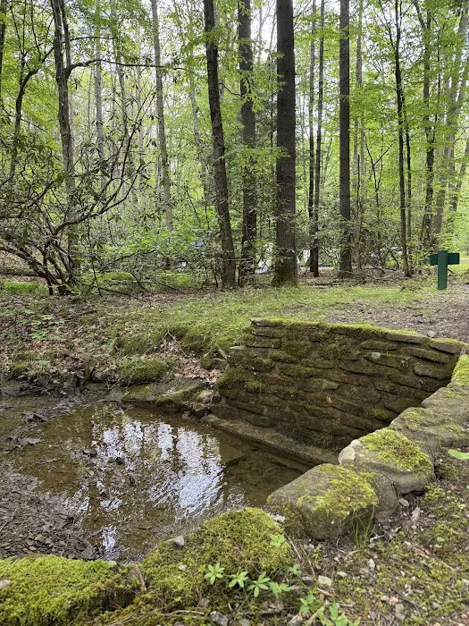 Seven Mile Campground Picture 7