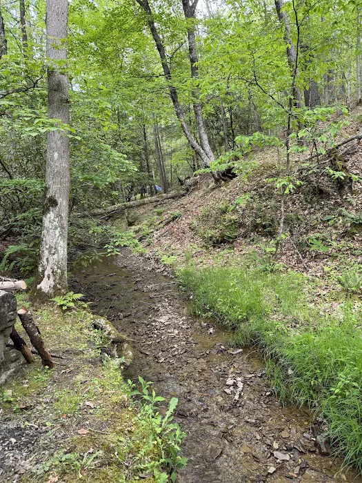 Seven Mile Campground Picture 10