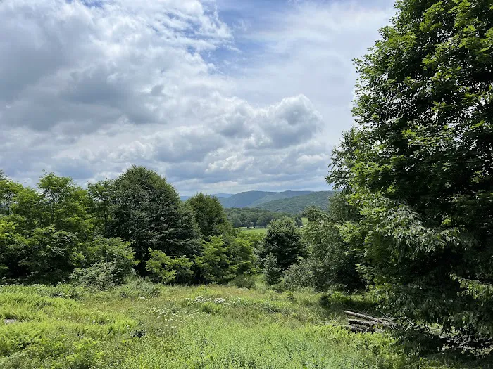 Whittaker Campground Picture 7