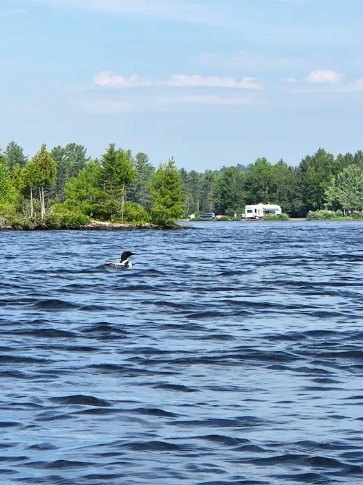 Seboomook Wilderness Campground Picture 5