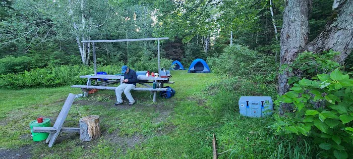 Roll Dam Campground Picture 2