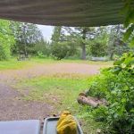 Roll Dam Campground