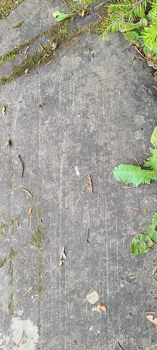 Roll Dam Campground Picture 6