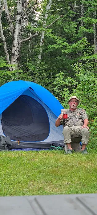 Roll Dam Campground Picture 8