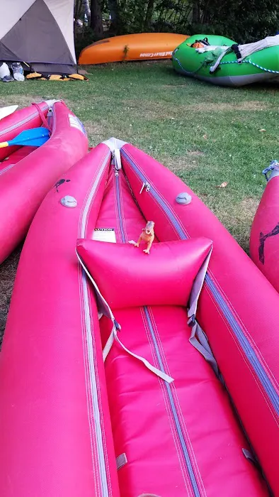 Roll Dam Campground Picture 3