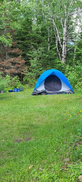 Roll Dam Campground Picture 5