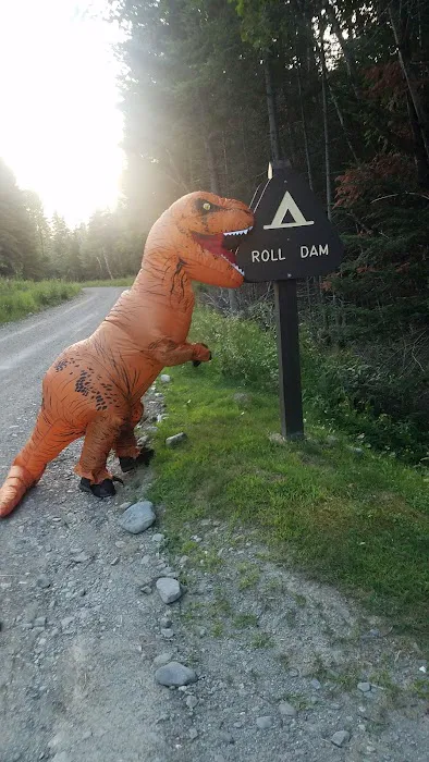 Roll Dam Campground Picture 4