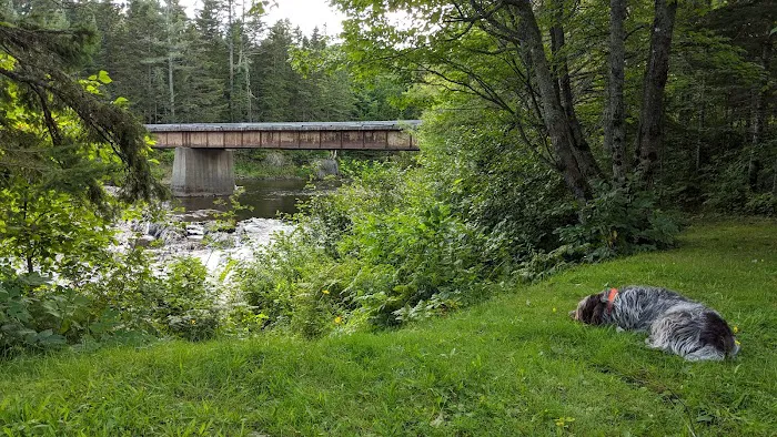 Leadbetter Falls Campsite Picture 4