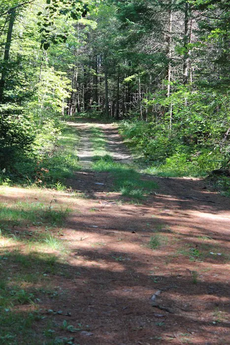 Paul Bunyan Campground Picture 4