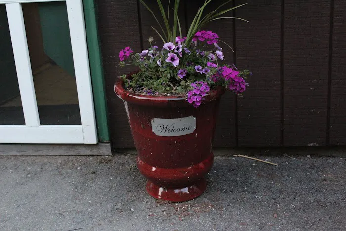 Paul Bunyan Campground Picture 1