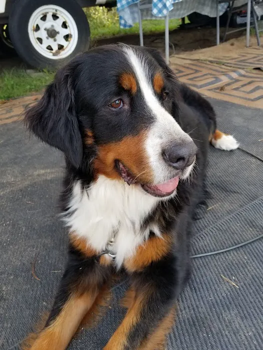 The Junction Music Park Picture 8