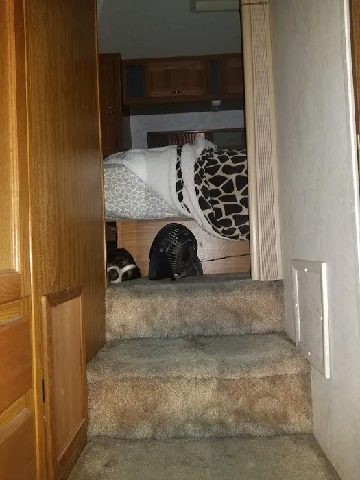 The Junction Music Park Picture 9