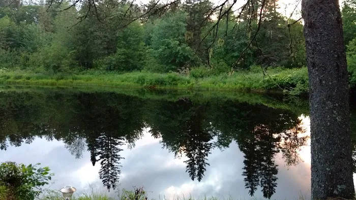 land camping area Picture 4