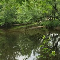 land camping area ico